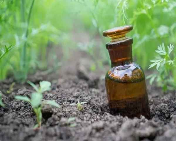 تصویر 5 از فروش اسید آمینه ایزابیون + قیمت خرید به صرفه